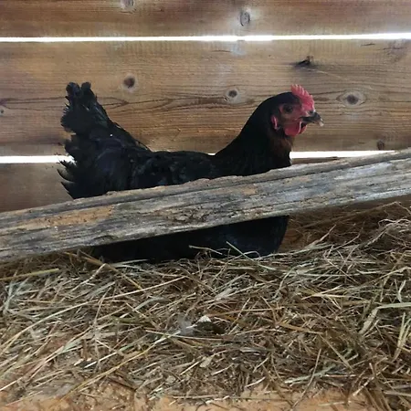 Farm stay Sole *