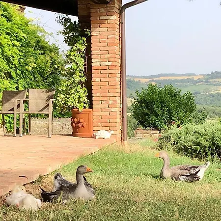 Farm stay Sole Trequanda