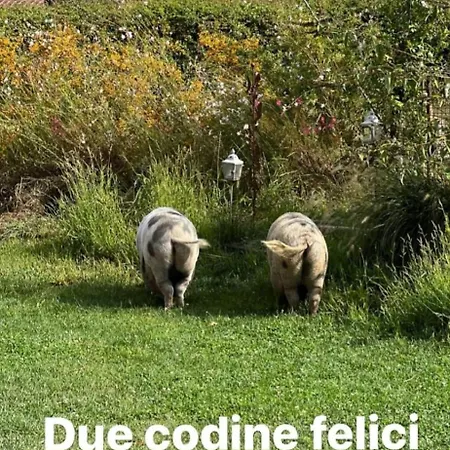 Farm stay Sole Trequanda