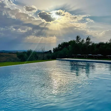 Sole *