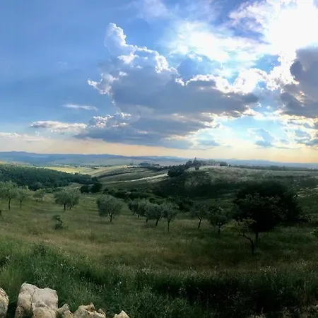Sole Trequanda