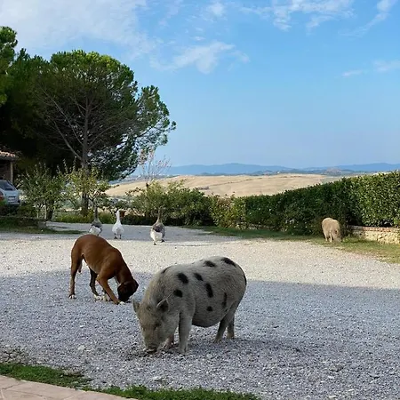 Sole Bauernhof Trequanda