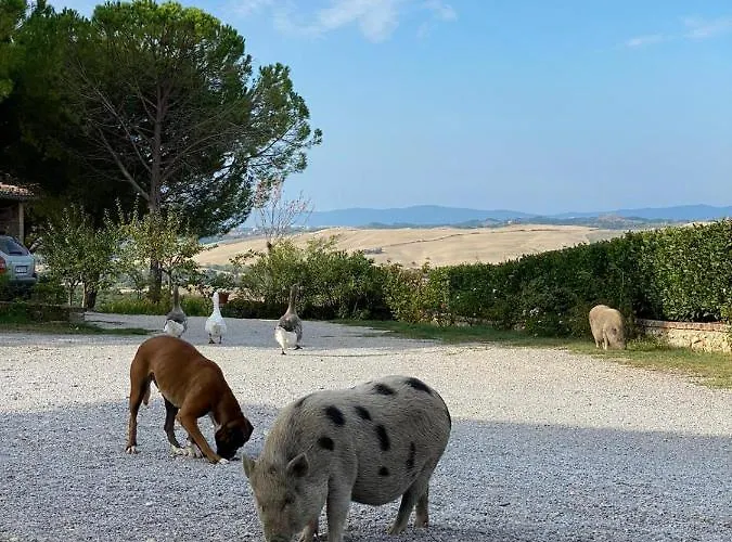 Sole 팜스테이 트레콴다