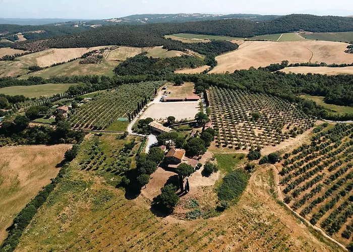 팜스테이 Sole 트레콴다